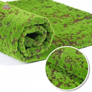 JESJELIU Cỏ rêu giả, Thảm rêu nhân tạo vĩnh cửu DIY, Đạo cụ chụp ảnh 50 * 50cm Không tưới cây Mô phỏng màu xanh lá cây Tấm rêu Sắp xếp hoa
