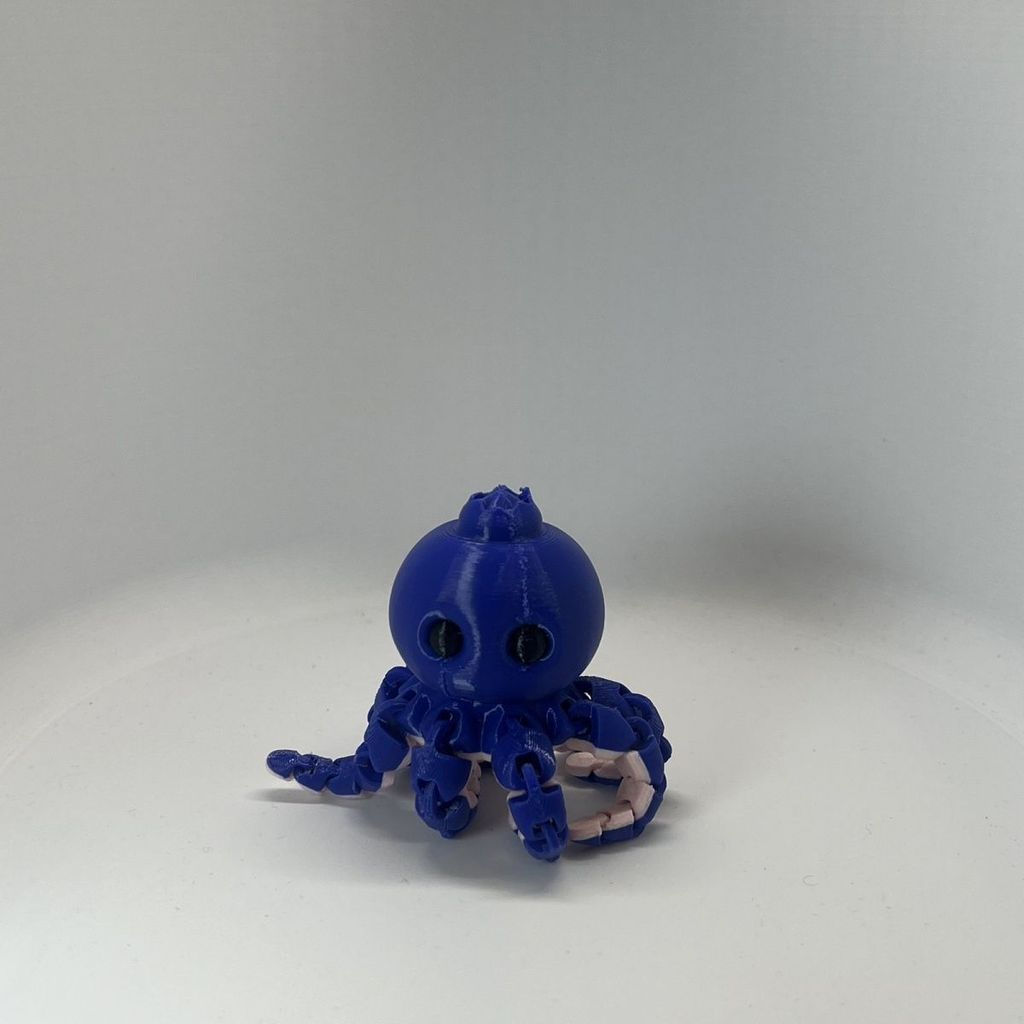 TQ~Foreign Blueberry Octopus from the Shanhaijing, Cute Multi-Colored Blueberry Octopus PP