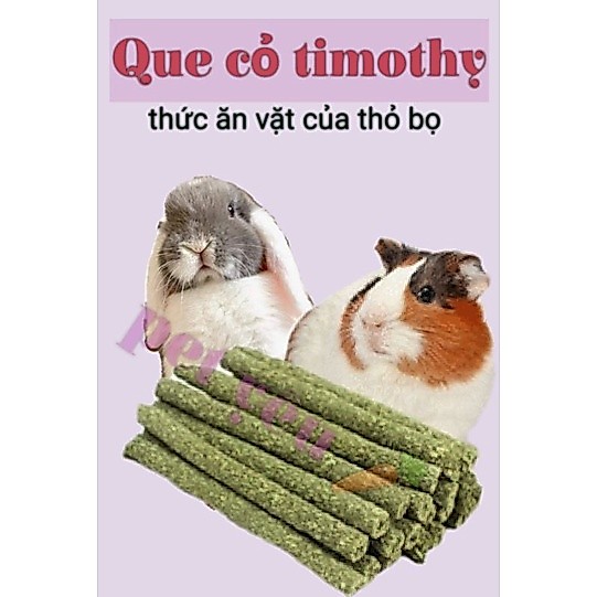 Bánh cỏ timothy thức ăn vặt của bé thỏ bọ 🐰🐻🐻