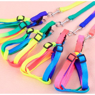  Bộ Dây Dắt Yếm 7 Màu Cho Chó Mèo 