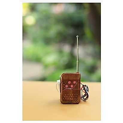 Remote điều khiển từ xa
