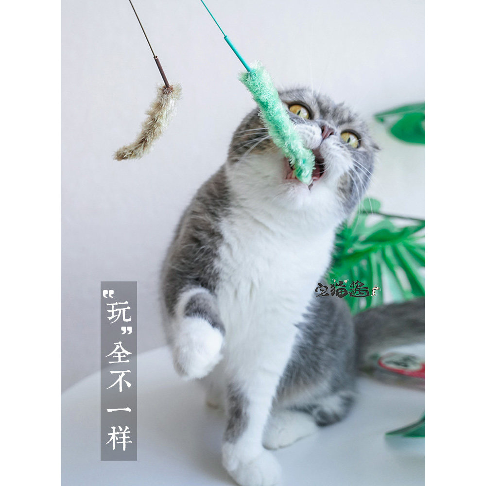 Otaku Doggy Man Doggy Man Doggy Man Dogtail Cỏ trêu chọc Cat Stick trêu chọc Cat Stick Baton 2 gói