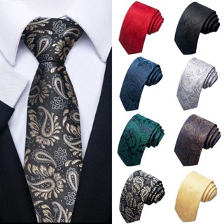 Cà vạt nam họa tiết Paisley, phù hợp công sở và làm quà tặng