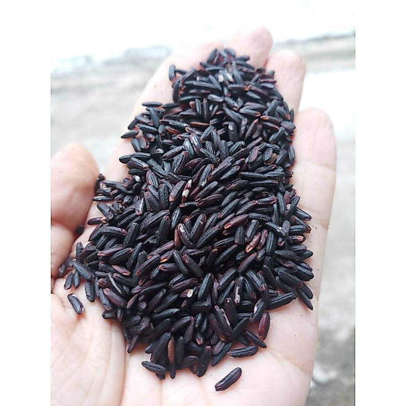 Sỉ gạo lứt đen dẻo