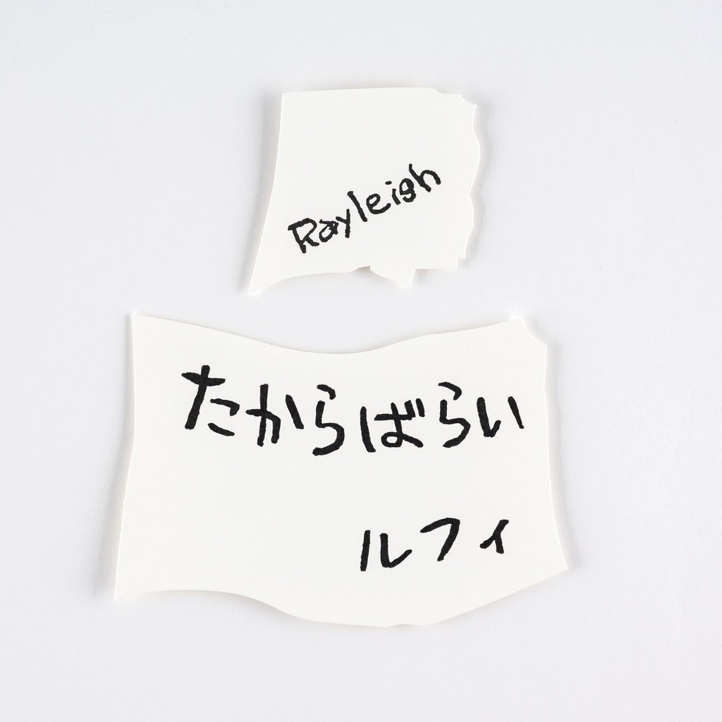 Hobonichi Techo ONE PIECE magazine / Vivre Card & Treasure Robbery Letterpress Cards Notebook Access