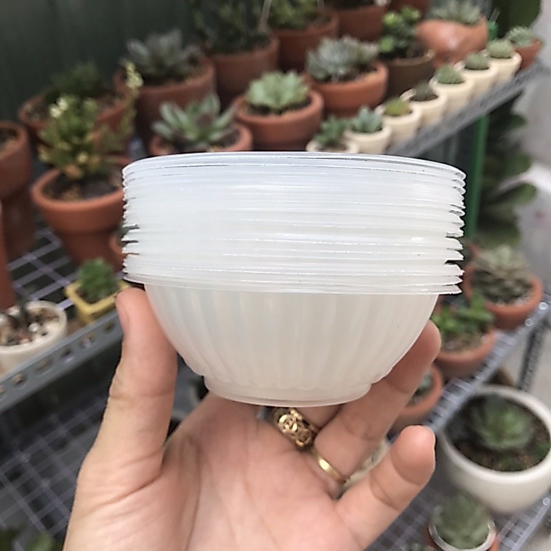chén nhựa nhỏ dùng 1 lần-chén giấy dùng 1 lần