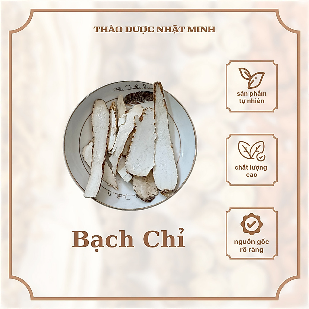 Bạch Chỉ Khô Thái Lát Không Tẩy Trắng
