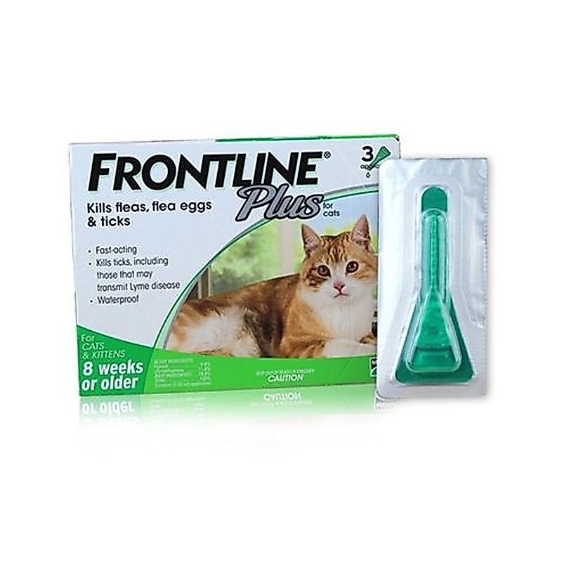 Nhỏ gáy Frontline Plus cho mèo, phòng ve rận bọ chét cho mèo trên 8 tuần tuổi