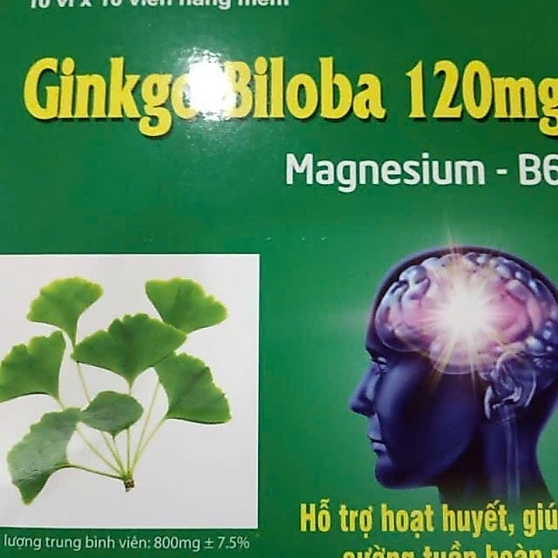 Ginkgo biloba 120mg hỗ trợ bổ não
