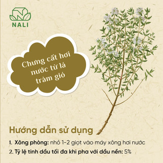 Tinh dầu Tràm gió nguyên chất - Melaleuca Cajuputi