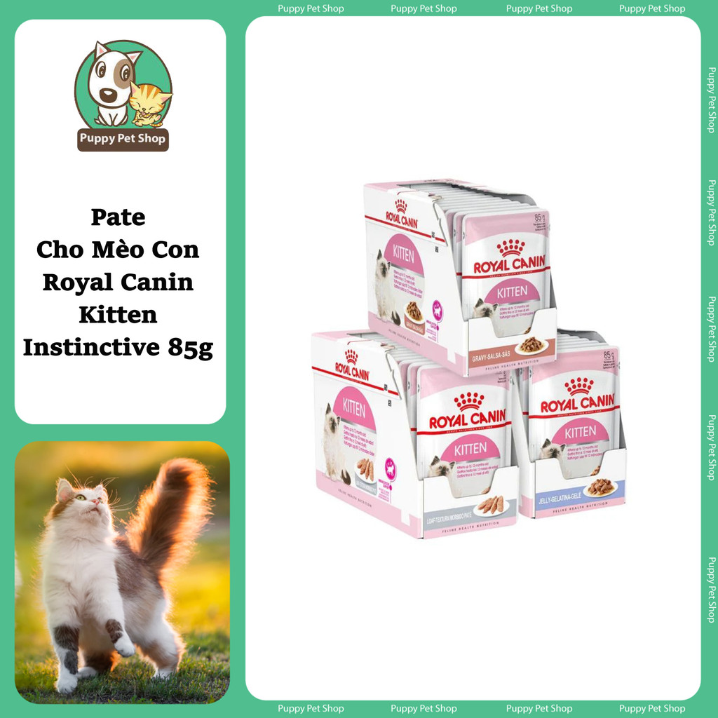 [ SIÊU XỊN ] Pate Royal Canin Cho Mèo Con Royal Canin Kitten 85g Chính Hãng