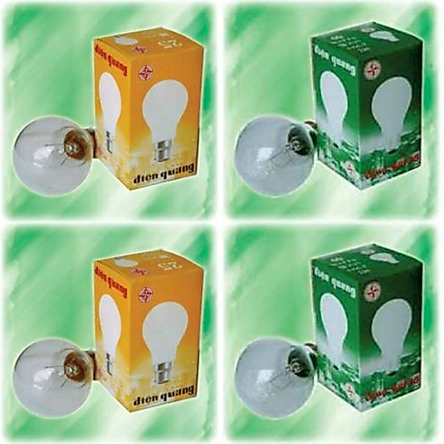 BÓNG ĐÈN SỢI ĐỐT (DÂY TÓC) ĐIỆN QUANG E27 (ĐUI VẶN) VÀ B22 (ĐUI GÀI)