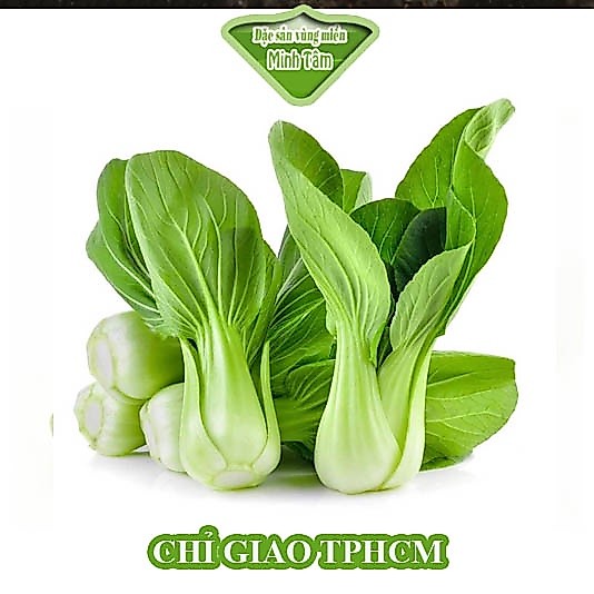 Cải thìa tươi ngon [CHỈ GIAO TP.HCM]