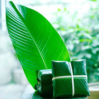 Lá Dong Nếp Lá Dong To Đẹp Gói Bánh Chưng Bánh Tét