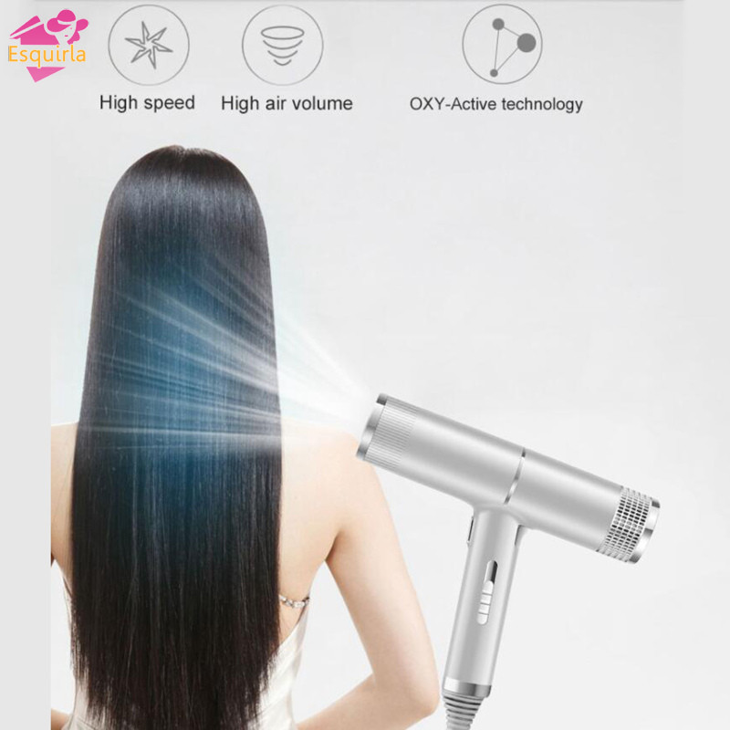 Esquirla Máy Sấy Tóc Ion Chuyên Nghiệp Máy Thổi Tóc Với Máy Tập Trung Khuếch Tán Ion Máy Sấy Tóc Tốc