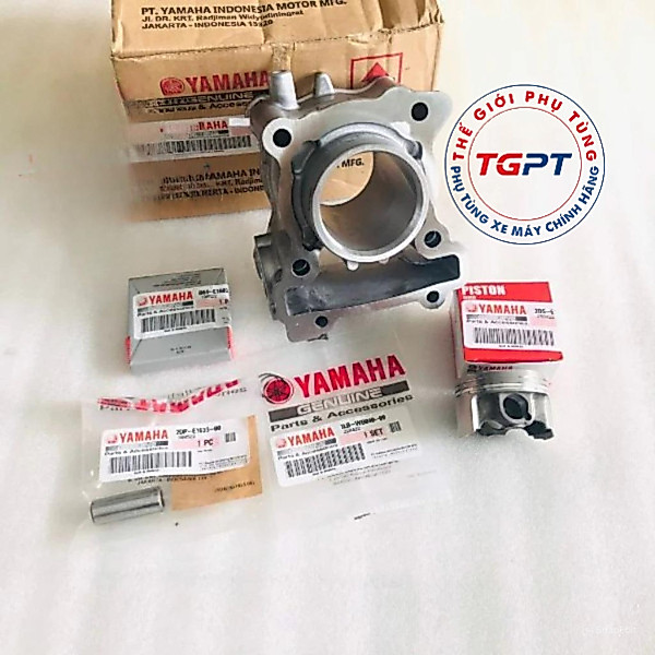 Bộ nòng piston bạc NVX 125cc - 2DS-E1311-10