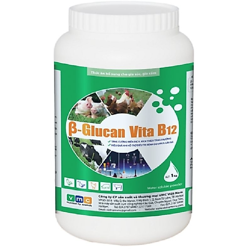 B- Glucan B12 1 kg tăng cường  miễn  dịch
