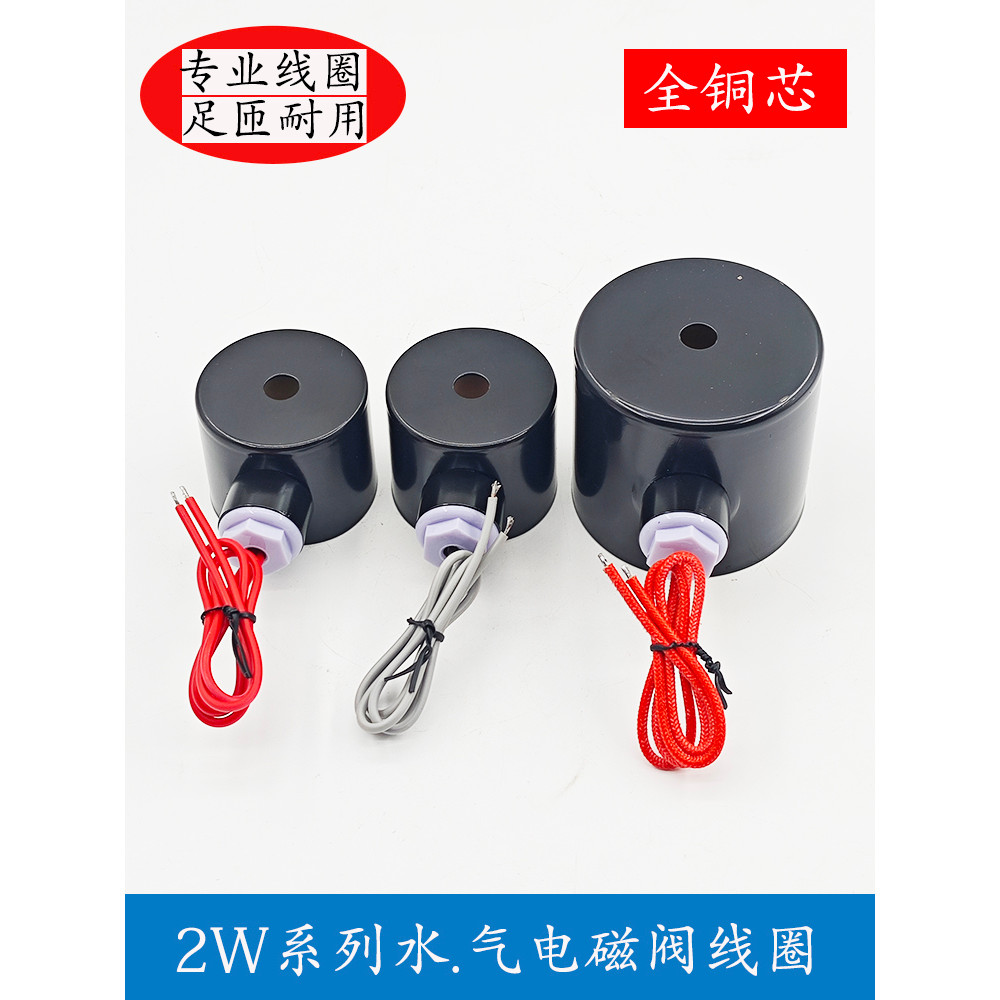 Van Điều Khiển Van Điện Từ 2W-160-15 2W-200-20 2W-250-25 Dòng Van Nước Tất Cả Cuộn Dây Đồng 220