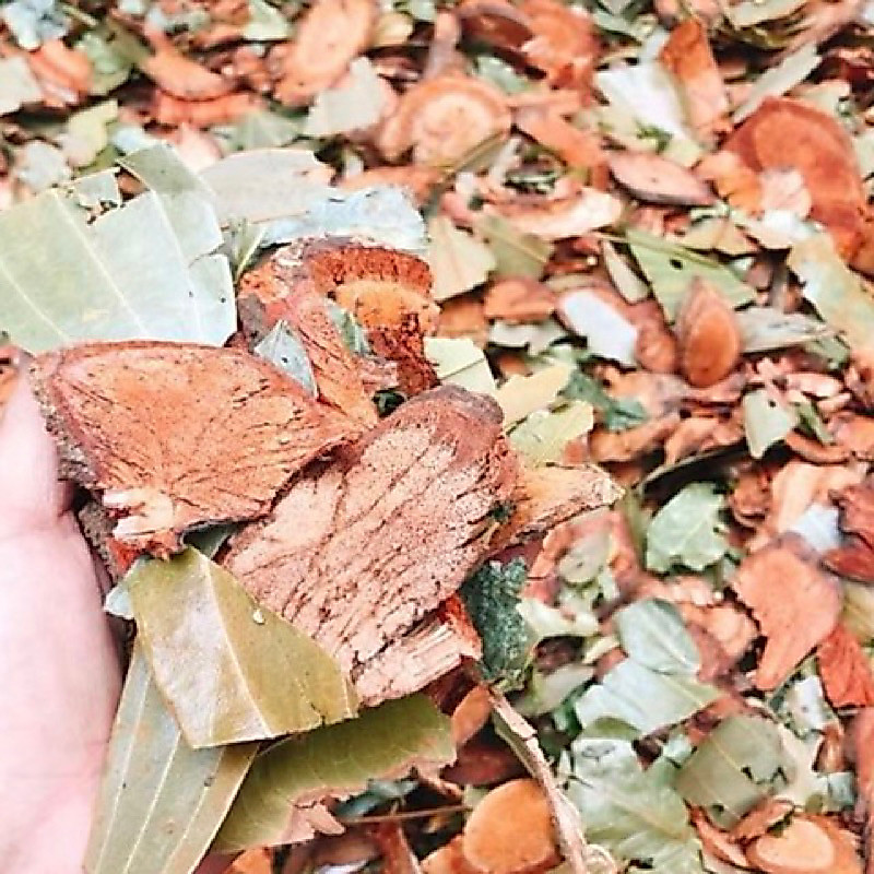 LÁ TẮM SẢN PHỤ