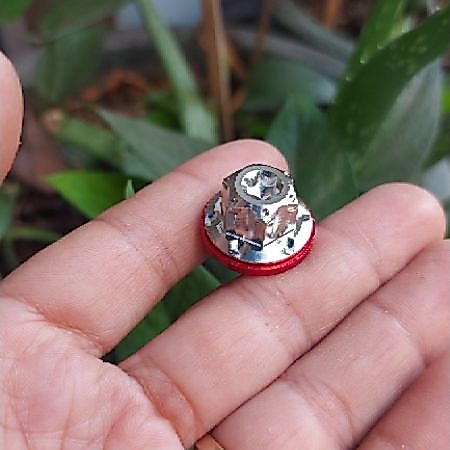 Ốc chân kiếng 10li Salaya Ốc chân gương 10li Salaya tặng kèm long đền đỏ
