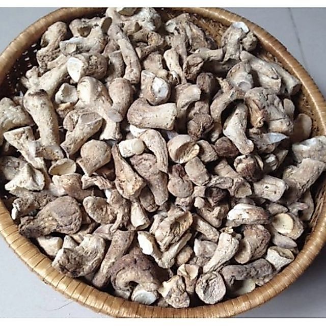 Chân Nấm Hương
