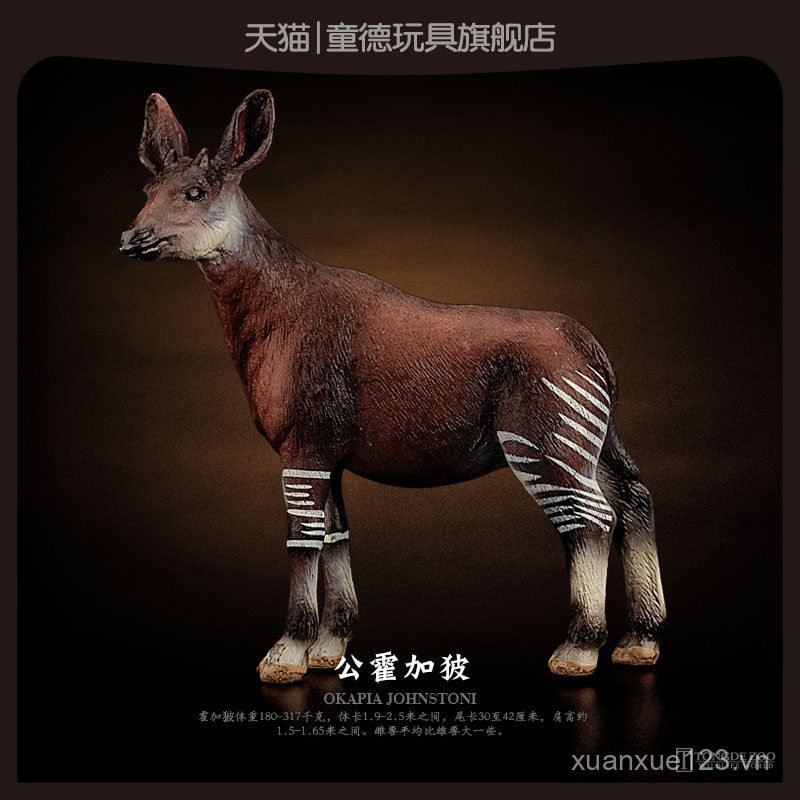 T Tongde Mô Phỏng Động Vật Đồ Chơi Mô Hình Wild Bull Hogatsu Okapi Hươu Okatsu Giáo Dục Nhận Thức Tr