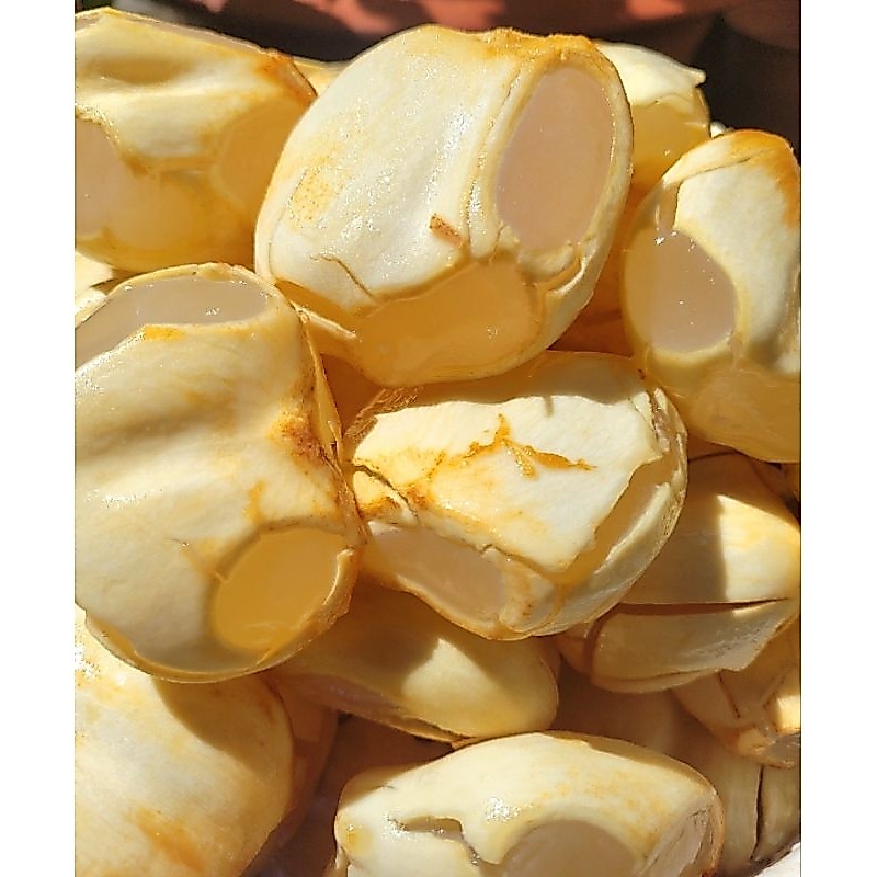 thốt nốt tươi dẻo mềm 1kg