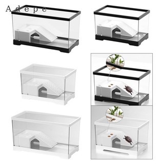 Bể cá rùa có chăn nuôi thoát nước đáy Terrapin