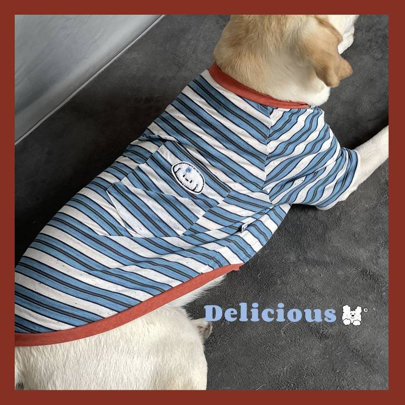 Golden Retriever Labrador T-shirt Border Collie Air Conditioning Clothes Golden Retriever Labrador S