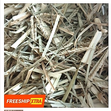 500GR CỎ MẦN TRẦU KHÔ