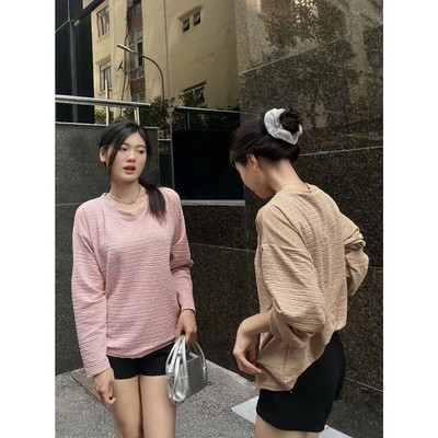 Áo Thun Tay Dài Bigsize Nữ Cổ Tròn Form Rộng Nữ Tính Chất Xốp Nhật Mặc Mát Co Giãn A312