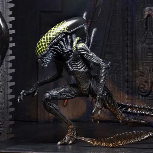 QunNECA Alien Wars Predator AVP Alien Alien 7th Wave Flower Head Alien 23cm Movable Model Toy Hàng h