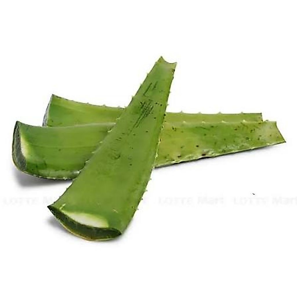 bẹ nha đam bự 1kg tươi