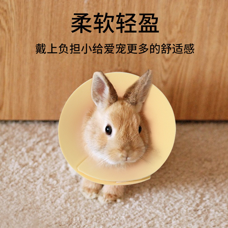 Thú cưng nhỏ Nhẫn Elisa Hamster Sóc Totoro Vòng cổ vẹt Nhẫn Elisa