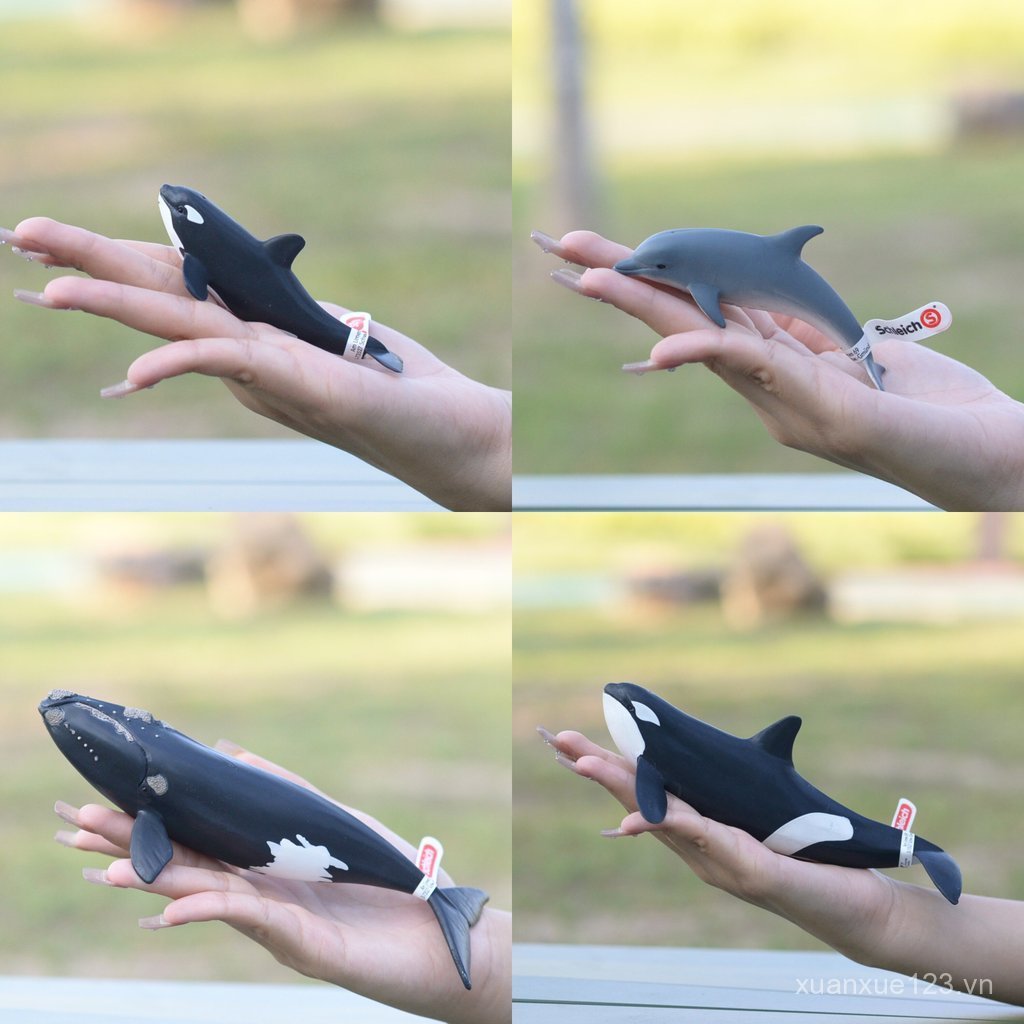 Chính Hãng Đức Sile schleich Ocean Series Little Dolphin Big Small Killer Whale Killer Whale Beluga 