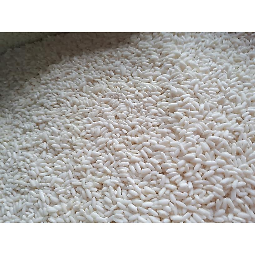 Nếp Ngỗng Túi 5kg