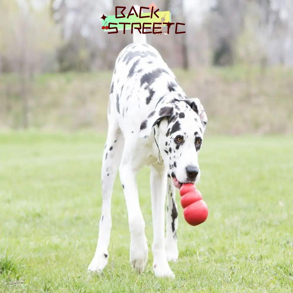 BACKSTRETC2 Đồ chơi cho chó Kong, Đồ chơi chó con cổ điển nhồi bông, Khả năng xử lý Đồ chơi nhai cao