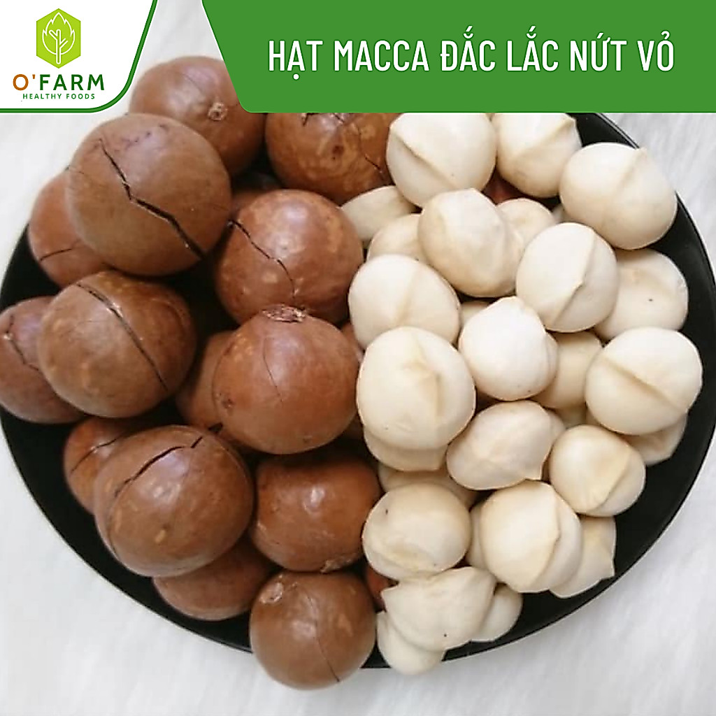 500g Macca Đắc Lắc nứt vỏ size Vip 27-32