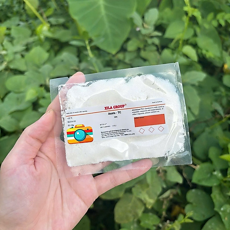 (KÍCH RỄ CÂY TRỒNG) AUXIN thực vật 98% gói 10g