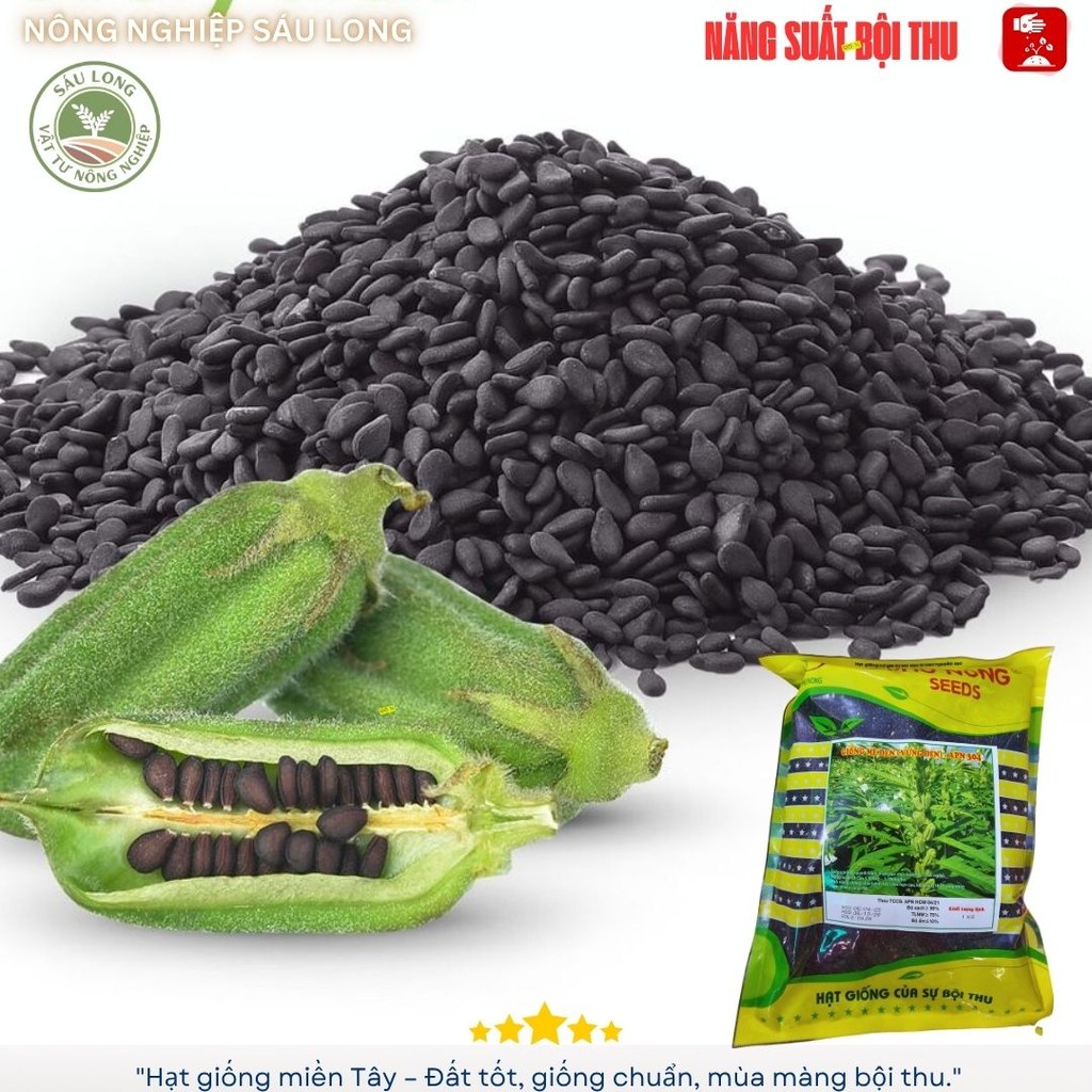 GIỐNG MÈ ĐEN - VỪNG ĐEN 304 GÓI 1KG - AN PHÚ NÔNG