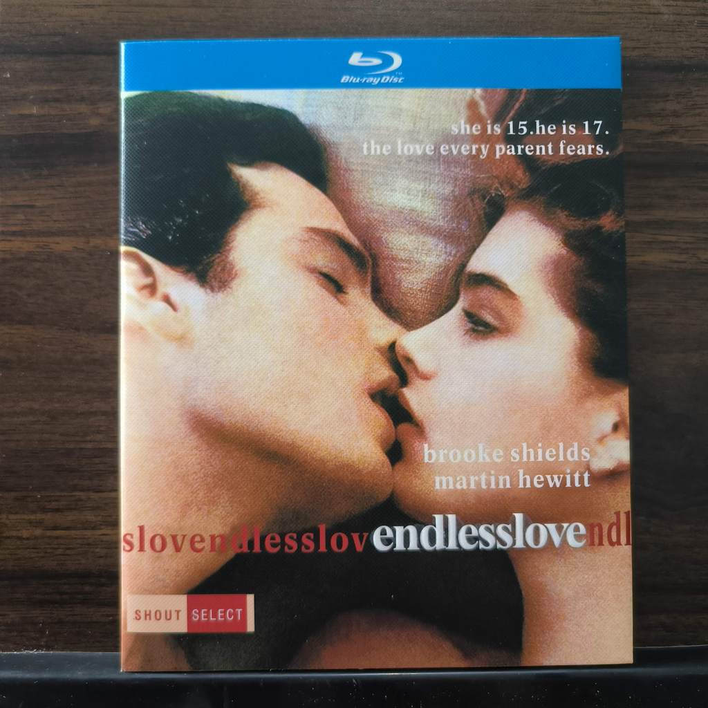 Đĩa Blu-ray Phim Mỹ Tình Yêu Bất Tận (1981) Đóng Hộp Mới 25GB BD B251