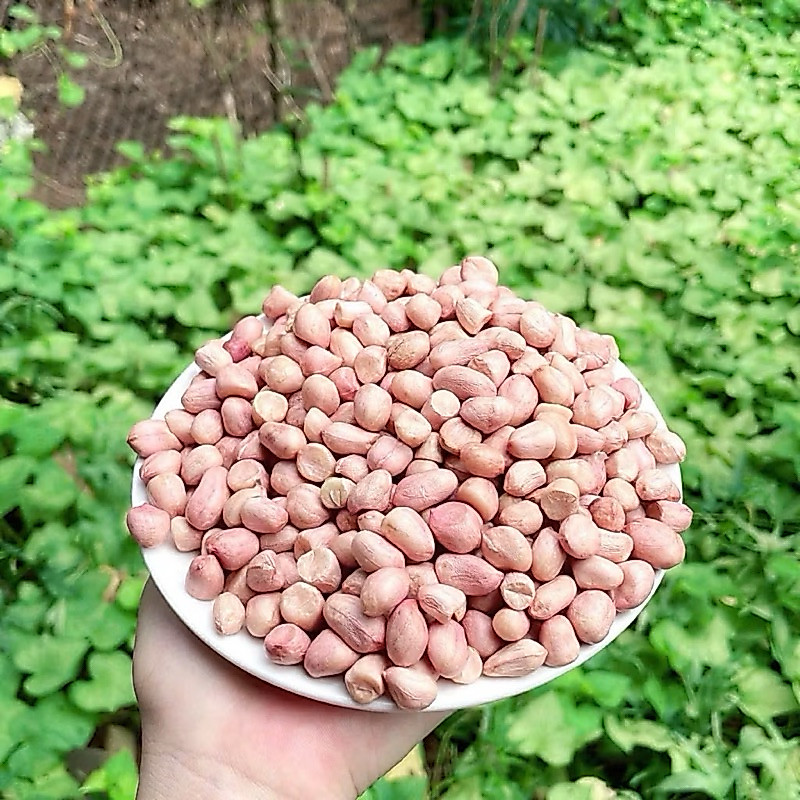 500gđậu phộng trắng