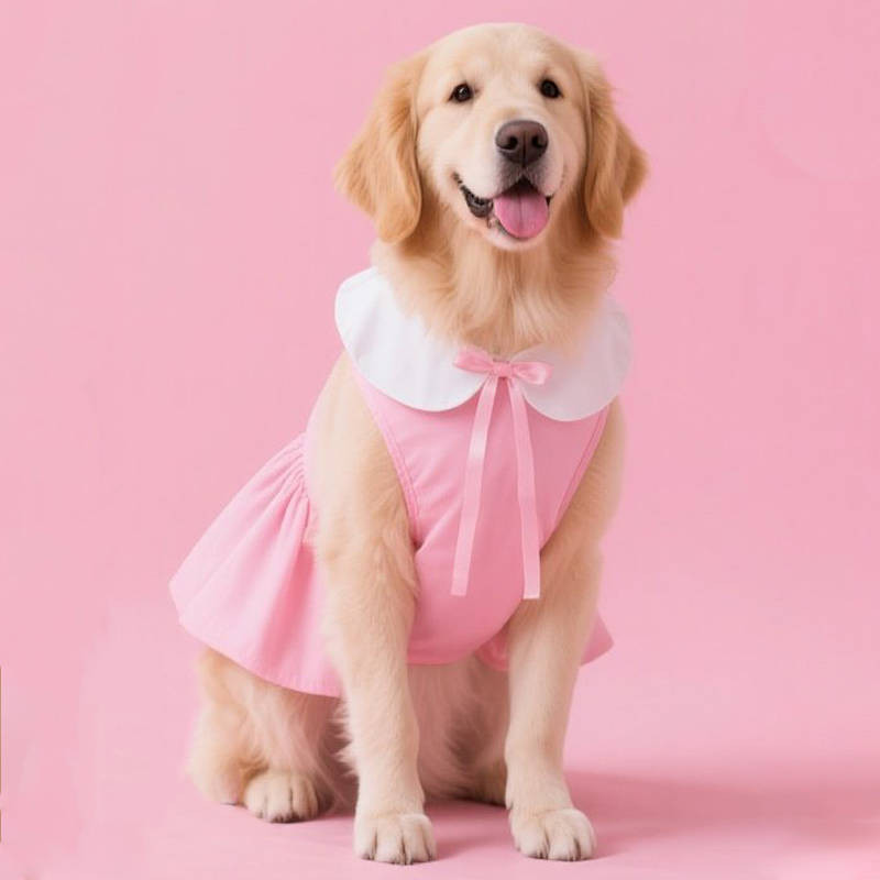 【Ready Stock】 2026 Dog Clothes New Princess Style Labrador Golden Retriever Husky Cute Dress Clothes
