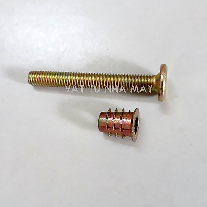 Tán cấy gỗ kèm bulong lục giác chìm đầu dẹt M6x60 (50 bộ)