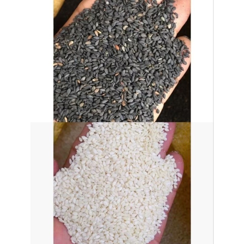 🫘Mè Trắng, Mè Đen 1Kg (Vừng Trắng, Đen) Chỉ Nhân Mè Ruột Mè Thơm Ngon🫘