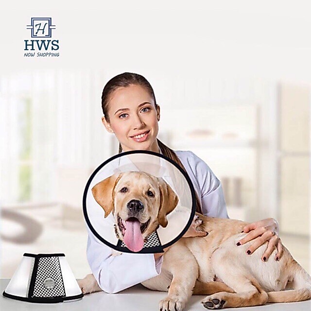 ♓️⚛️VÒNG CHỐNG LIẾM THÚ CƯNG