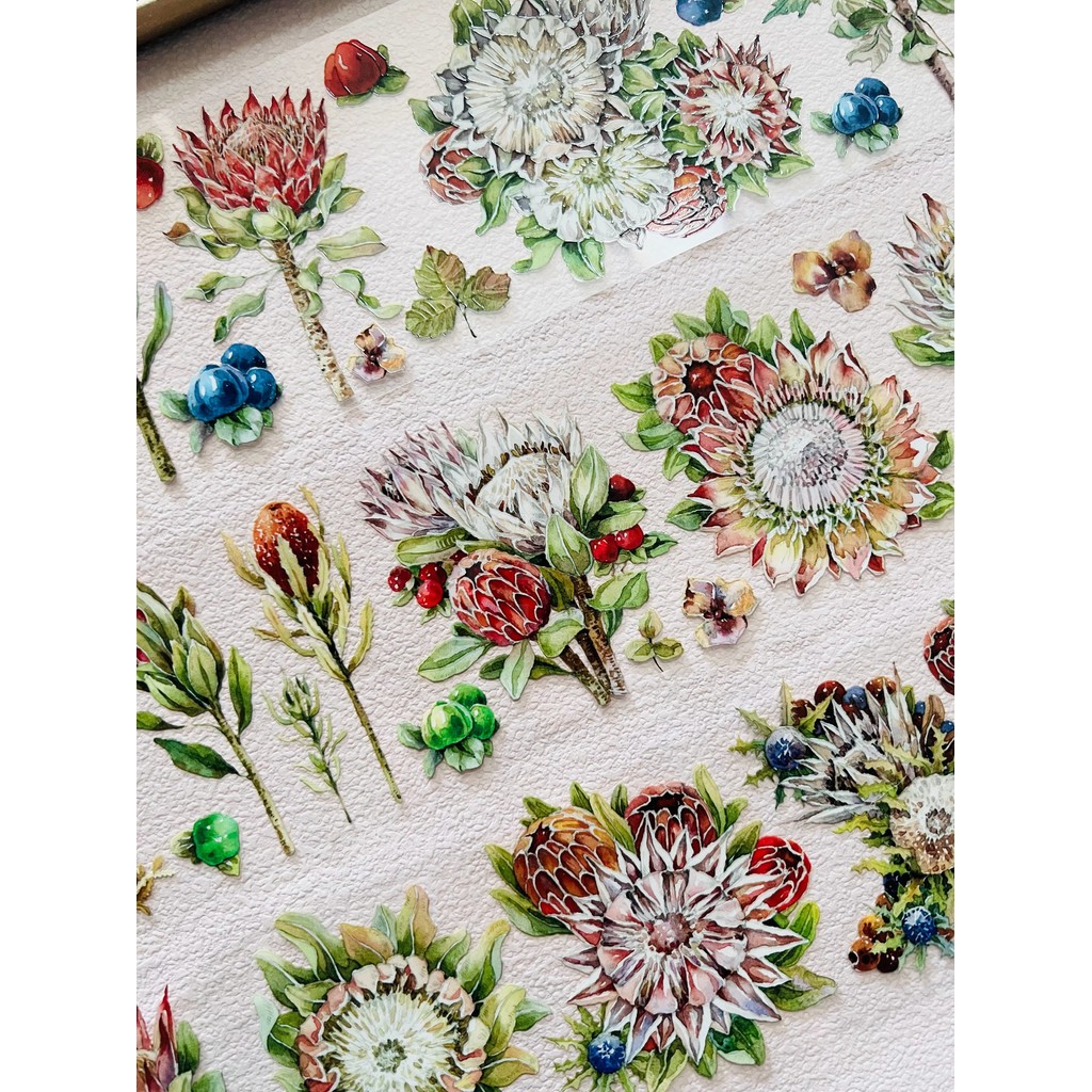 [Cầu nguyện cho chim] Camellia Planet Protiya Tian Xiaobao 's Starry Sky Rainbow Light pet Washi Tap