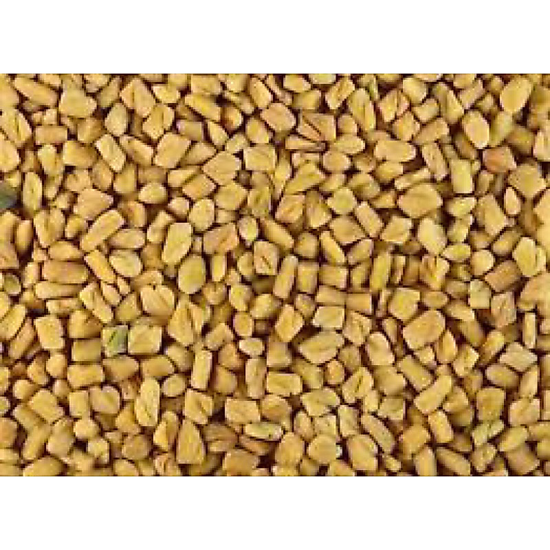 500G Hạt Methi Ấn Độ