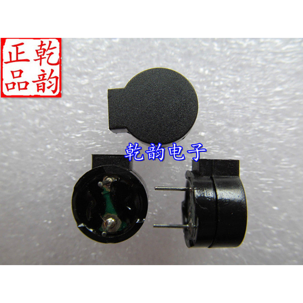 Buzzer Lô hàng thụ động 8 Om 12075 Buzzer