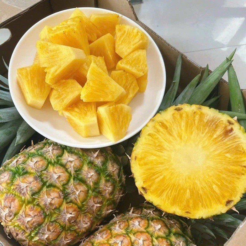 COMBO 100 CÂY DỨA MD2 KHÔNG GAI THƠM MẬT MD2,GIỐNG LOẠI QUẢ TO, NGỌT, NHIỀU MẬT